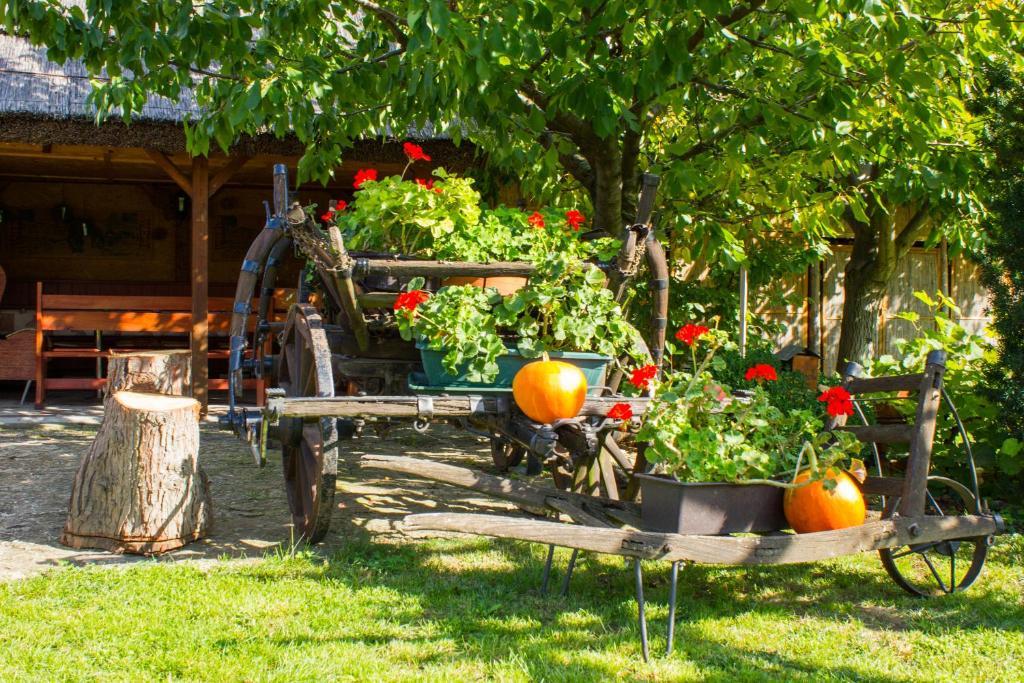 Kaktusz Villa Hévíz Exteriér fotografie