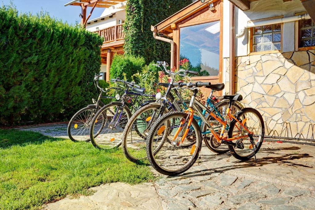 Kaktusz Villa Hévíz Exteriér fotografie
